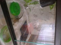 post-58610-0-62657700-1379854150_thumb.j