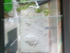 post-58610-0-64733000-1379854164_thumb.j