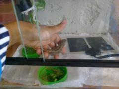 post-58610-0-72218000-1379854087_thumb.j