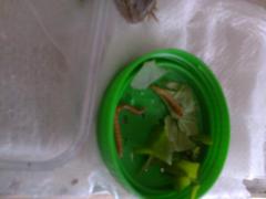 post-58610-0-78456500-1379854104_thumb.j