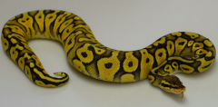 2015-09-26 16.39.12.png