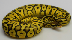 2015-09-26 16.41.29.png