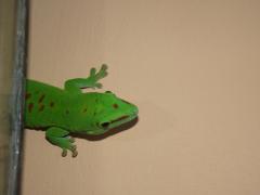 DSCF4014.JPG