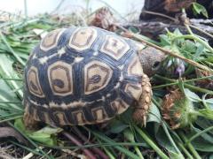 20150828_105247.jpg
