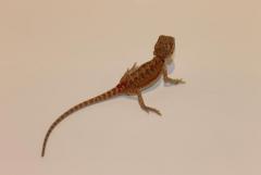 IMG_5872.JPG