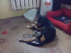 IMG_20150909_105255.jpg