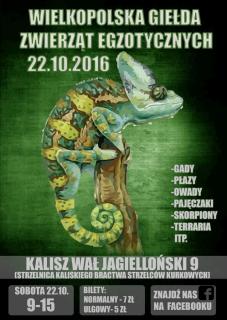 plakat giełda.jpg
