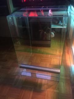 image1.JPG