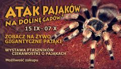 wystawa_pajakow_v2.jpg