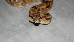 post-44546-0-65428200-1382617914_thumb.j