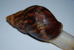 DSC_0006.JPG