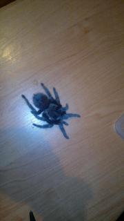 201310092883.jpg