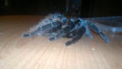 201310092886.jpg