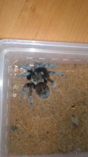 201310092882.jpg