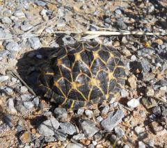 DSCN4708.JPG