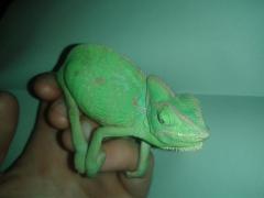 20141027_204444.jpg