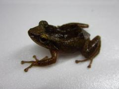 IMG_0040.JPG
