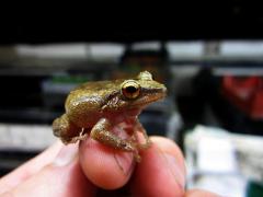 IMG_0043.JPG