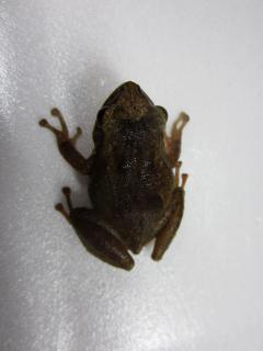 IMG_0041.JPG