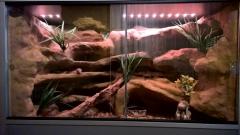 WP_20151011_00_13_24_Rich.jpg