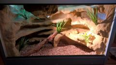 WP_20151010_23_14_09_Rich.jpg