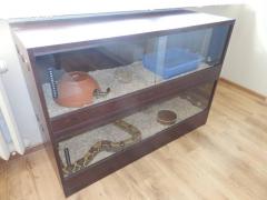 post-79049-0-29228100-1443774191_thumb.j