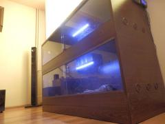 post-79049-0-58374400-1443774193_thumb.j