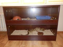 post-79049-0-86685900-1443774192_thumb.j