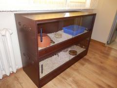 post-79049-0-96939300-1443774193_thumb.j