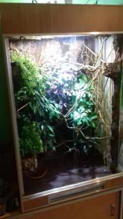 20171003_210844.jpg