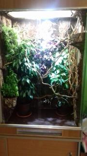 20171003_210827.jpg