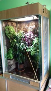 20171003_125250.jpg