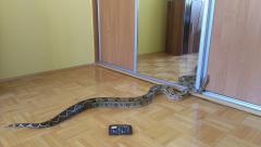 1394033_625441330839896_1663225430_n 111.jpg