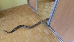 988723_625440074173355_1624764751_n 222.jpg