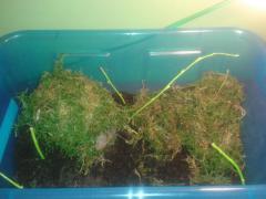 20131102_100102.jpg