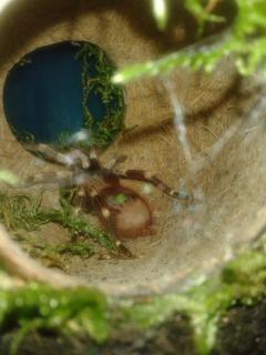 20131102_100145.jpg