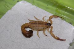 Załączony obraz: DSC_3618.JPG