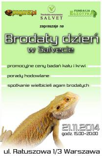 Brodaty dzien w salvecie.jpg