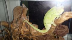 20140811_2243202.jpg
