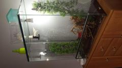 20140914_1542061.jpg