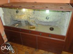 terrarium-pustynne-wroclaw_rev004.jpg