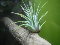 DSC01546.JPG