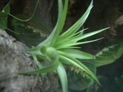 DSC01545.JPG