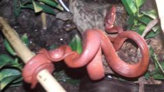 20161112_230121.jpg