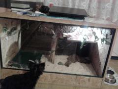 20131202_070158.jpg