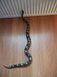 post-38697-0-21872500-1419622146_thumb.j