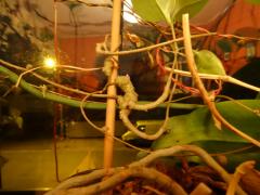 DSC00799.JPG