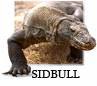 Wąż smugowy ok 50 cm je średnie myszy na ... - ostatni post przez sidbull