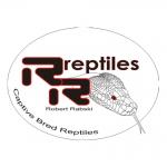 RRreptiles's Photo