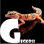 Gecko12's Photo